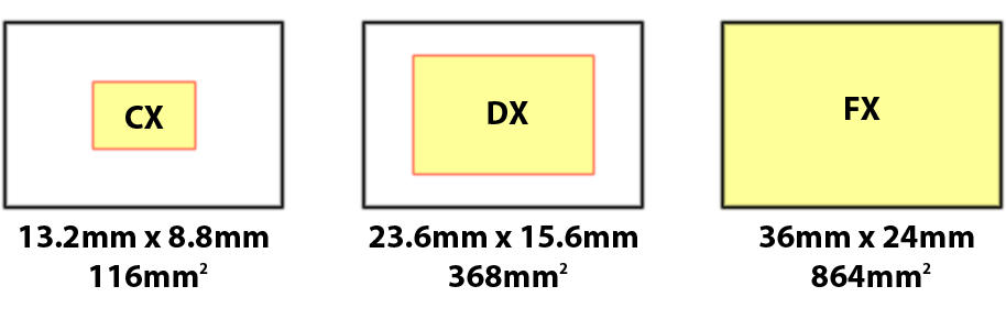 sensor size cx dx fx