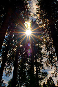Sunstar 24mm f/2.8 AF-D