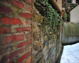 Sample Nikon 24mm f/1.4G AF-S NIKKOR