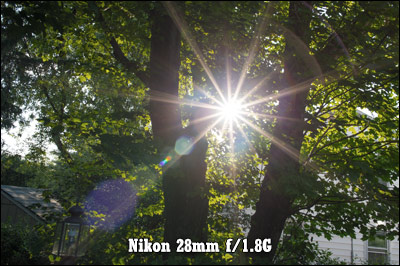 Nikon 28mm 1.8g Flare