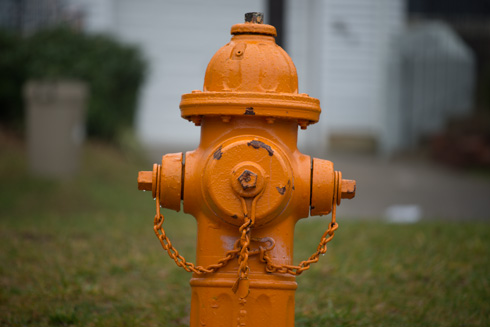 Nikon 70-200mm f4 Sample