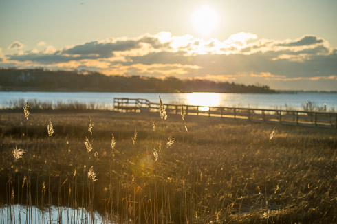 Nikon 70-200mm f4 Sample