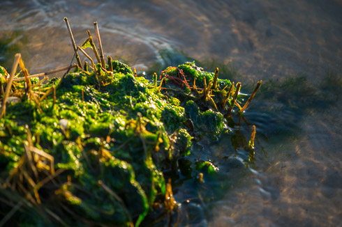 Nikon 70-200mm f4 Sample
