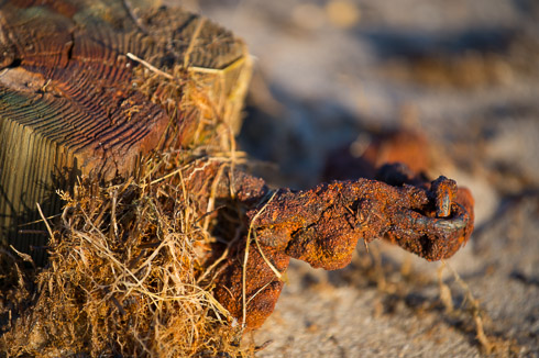 Nikon 70-200mm f/4 Sample