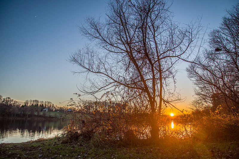 Nikon D600 Processed Lightroom